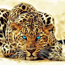 Леопард ДМС