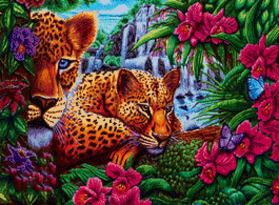 леопарды - природа, красота, леопард, цветы, хищники, кошки, джунгли, животные - предпросмотр