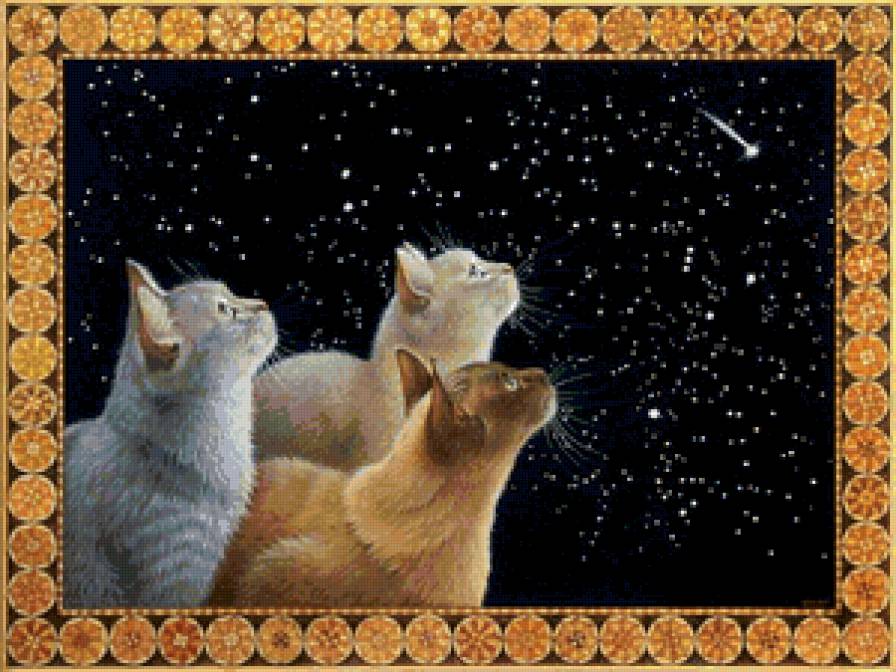 астрономы - коты, котики - предпросмотр