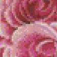 Предпросмотр схемы вышивки «розы» (№662129)