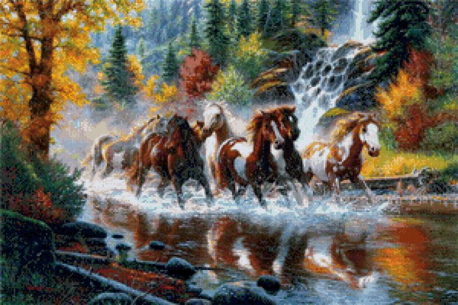 Кони - река, лошадь, табун, природа, кони - предпросмотр