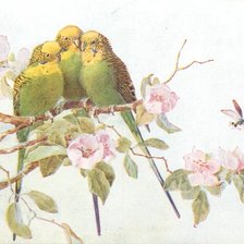 Схема вышивки «попугаи»