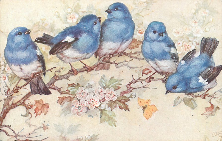 синие птички - оригинал