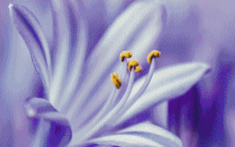синий цветок - цветы - предпросмотр