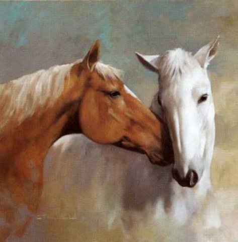 Лошадиная пара 2 (на подушку) - любовь, животные, подушка, пара, лошади - оригинал