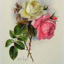 Оригинал схемы вышивки «Розы» (№663248)