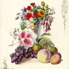 Оригинал схемы вышивки «Цветы и фрукты» (№663259)