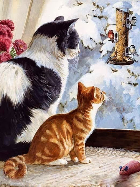 У окна - у окна, кошки, котенок - оригинал