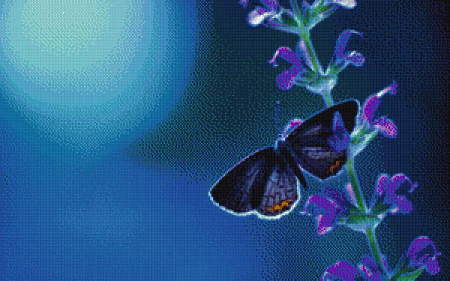 синяя бабочка - бабочки - предпросмотр