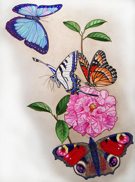 Бабочки - бабочки, природа, цветок - оригинал