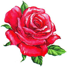 Оригинал схемы вышивки «Роза» (№664457)
