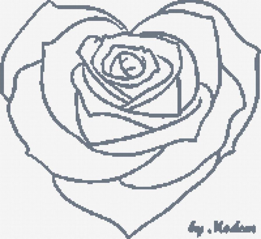 роза монохром - роза - предпросмотр