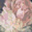 Предпросмотр схемы вышивки «розовые пионы» (№664872)