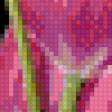 Предпросмотр схемы вышивки «Тюльпаны» (№665016)