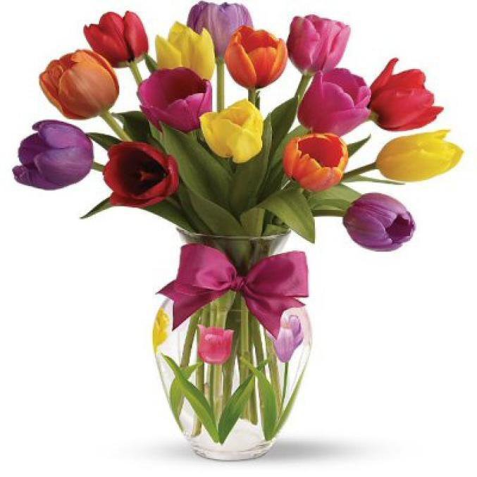Тюльпаны - тюльпаны, цветы, букет - оригинал
