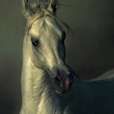 Оригинал схемы вышивки «белый конь» (№665677)