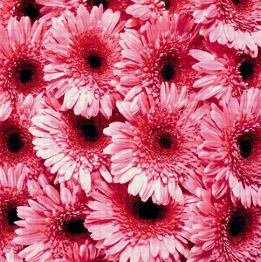 подушка розовые цветы - подушка, пано, цветы - предпросмотр