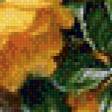 Предпросмотр схемы вышивки «букет жёлтых роз» (№666038)
