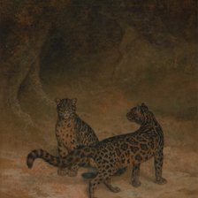 Оригинал схемы вышивки «леопарды» (№666254)