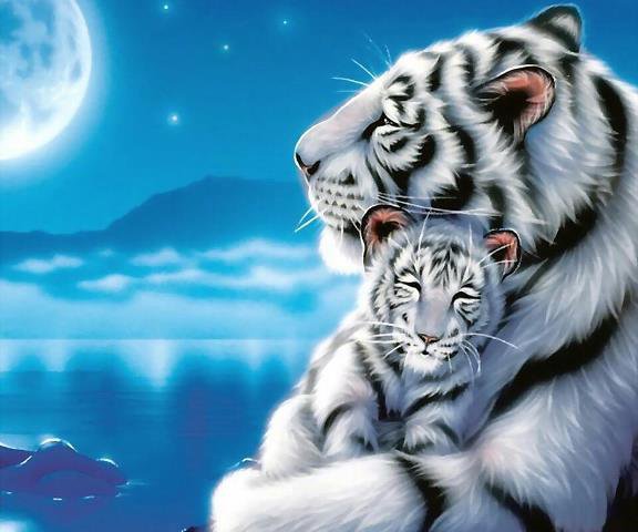 Материнская нежность - белые тигры, нежность, мама, ночь - оригинал
