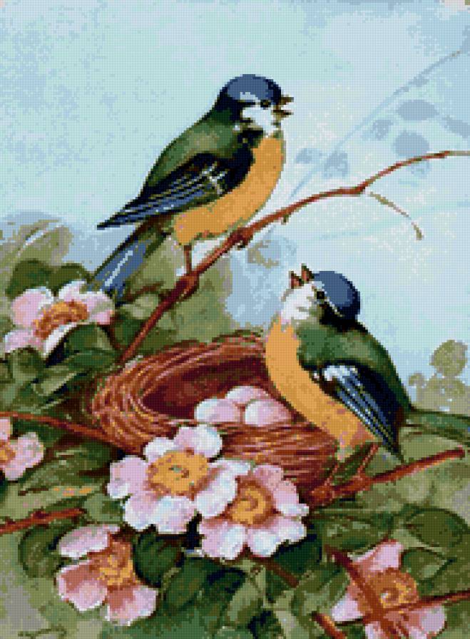 пано птицы - птицы, пано, цветы, природа - предпросмотр