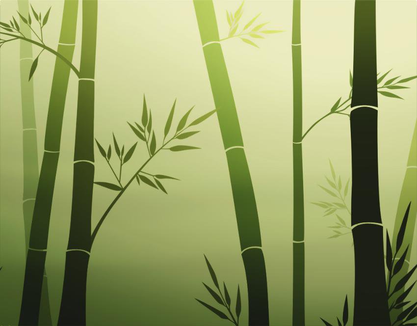 бамбук - растения - оригинал