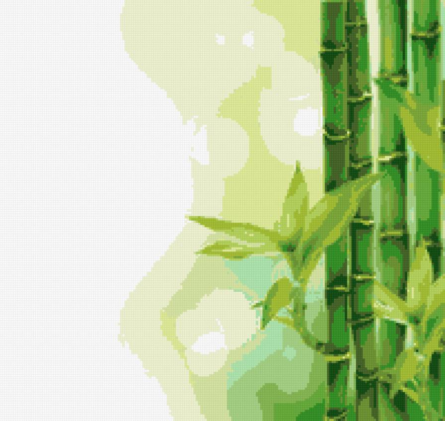 бамбук - растения - предпросмотр