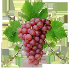 Оригинал схемы вышивки «гроздь винограда» (№666724)