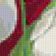 Предпросмотр схемы вышивки «тюлпаны» (№667629)
