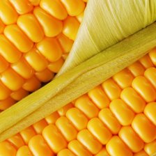 Схема вышивки «кукуруза»