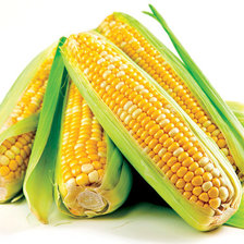 Схема вышивки «кукуруза»