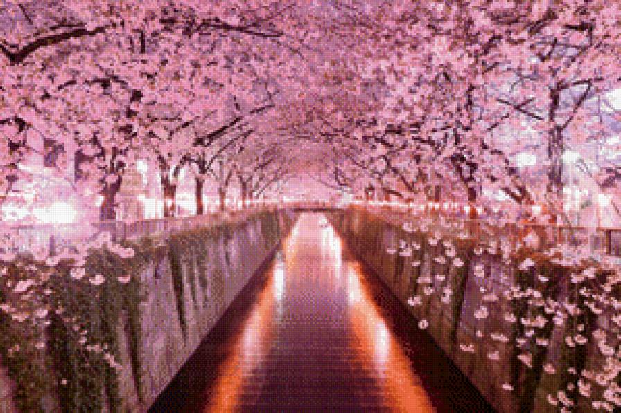 Япония. Тоннель из сакуры - сакура, япония, пейзаж - предпросмотр