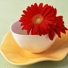 Оригинал схемы вышивки «цветы в чашке» (№668127)
