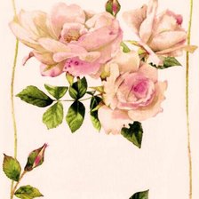 Оригинал схемы вышивки «розы в рамке» (№668897)