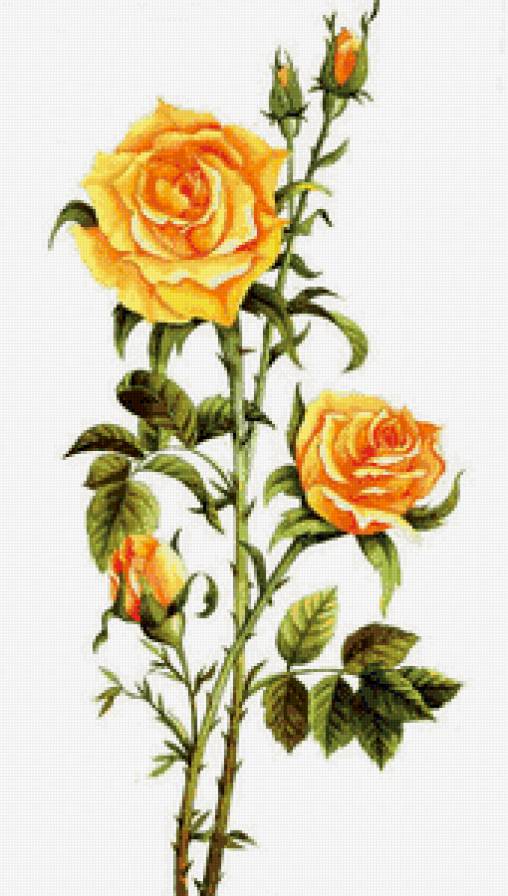 Серия "Цветы": Жёлтые розы - предпросмотр