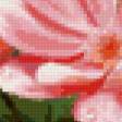 Предпросмотр схемы вышивки «Цветы» (№669067)