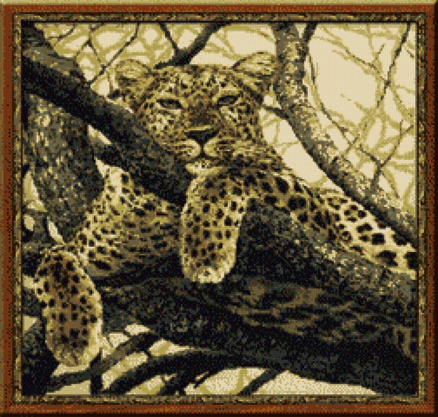 Леопард на дереве - животные - предпросмотр