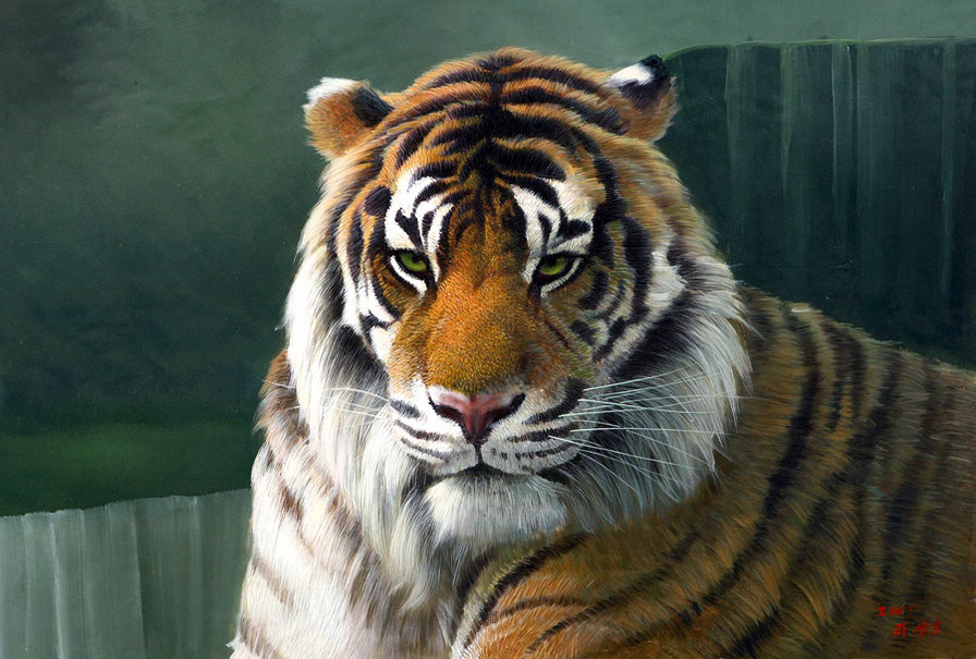 Красавец тигр - животные, тигры - оригинал