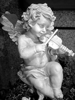 Музыка ангела - ангел, скрипка, игра, музыка - оригинал