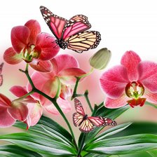 Оригинал схемы вышивки «Серия "Цветы": Композиция с бабочками» (№670263)