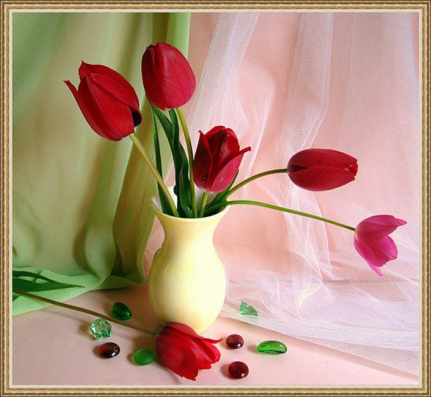 серия "тюльпаны" - цветы.тюльпаны.букет - оригинал