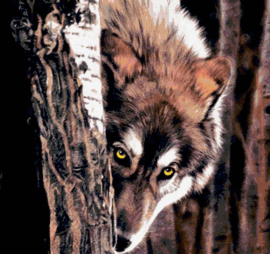 волчий взгляд - взгляд, лес, животные, природа, волки - предпросмотр