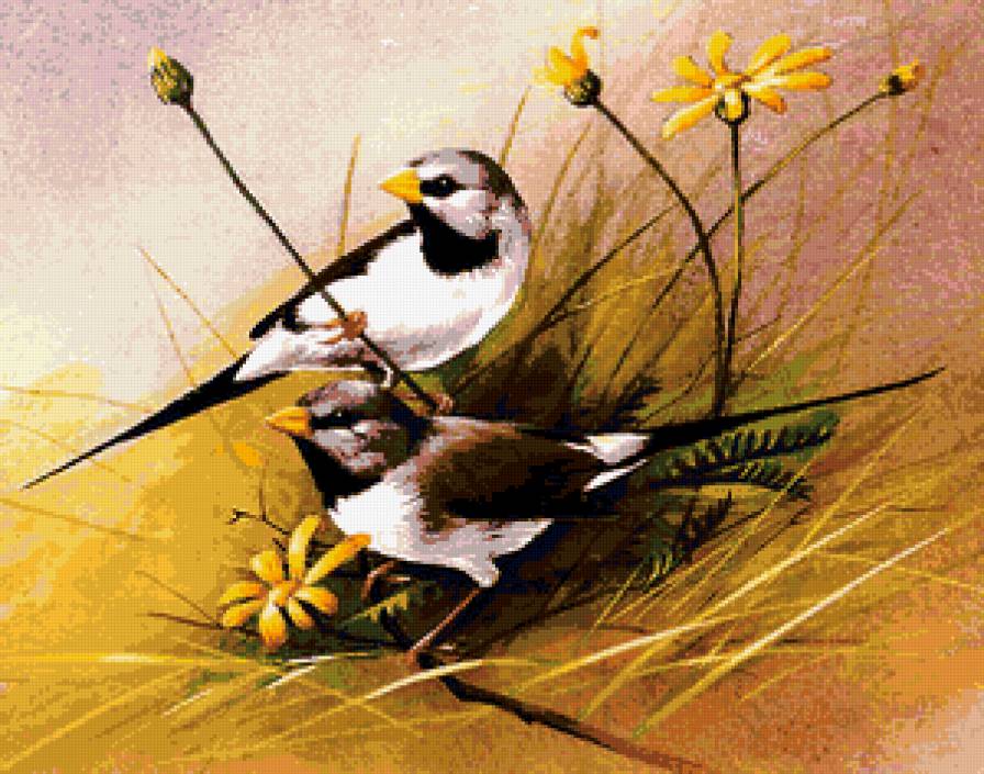 пано птицы - пано, цветы, птицы, природа - предпросмотр