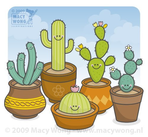 Cactus 2 - cactus - оригинал