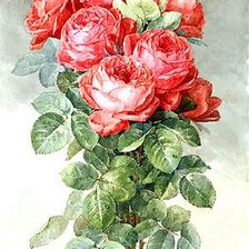 Оригинал схемы вышивки «розы» (№671405)