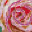 Предпросмотр схемы вышивки «розы» (№671432)