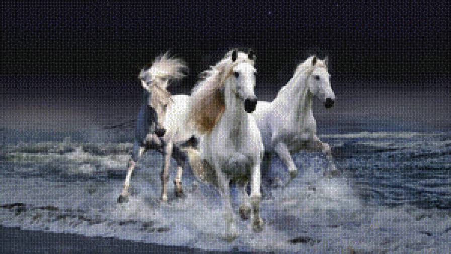 белые кони - кони - предпросмотр
