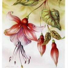 Оригинал схемы вышивки «цветок» (№672061)