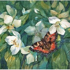 Оригинал схемы вышивки «Бабочка и цветы» (№672356)