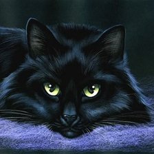 Схема вышивки «Черный котик»